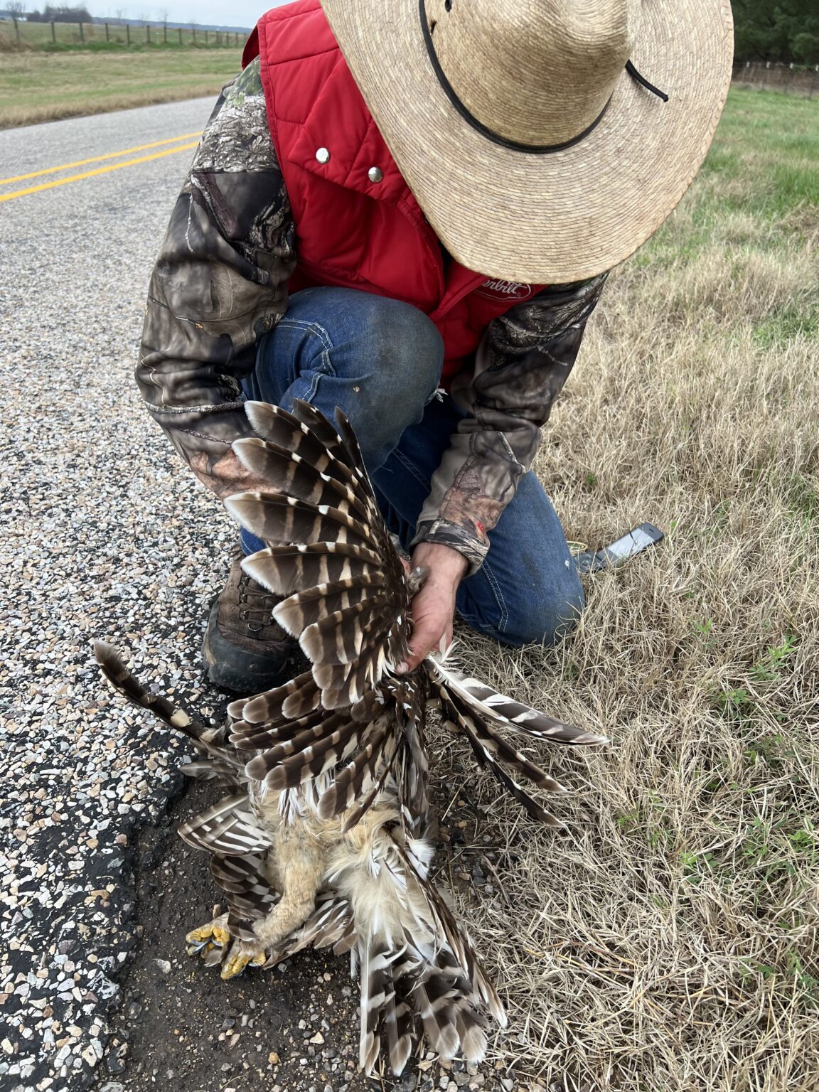 BUTT - Cole with a dead hawk in red river county, 2021