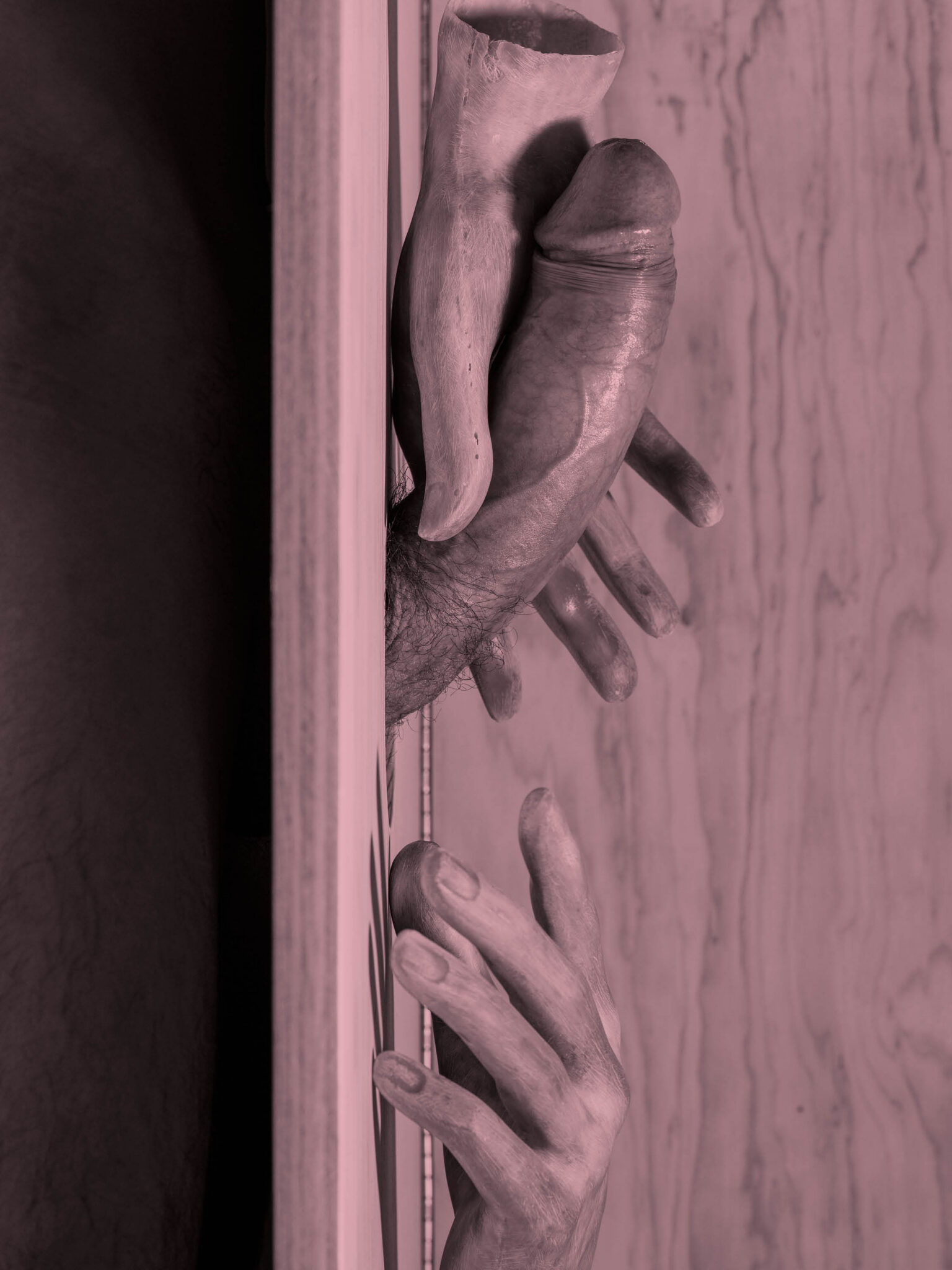 BUTT - Butt38-ig-dickarrangements-no censor-pink6