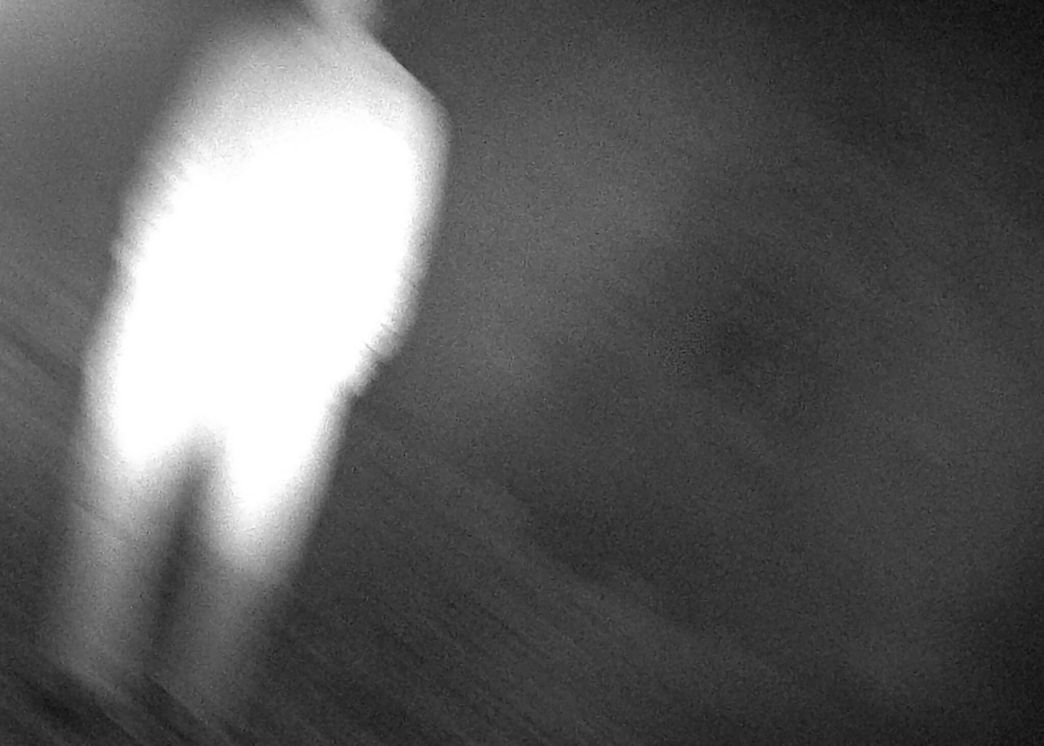 BUTT - Taisuke_nakano_bw-41